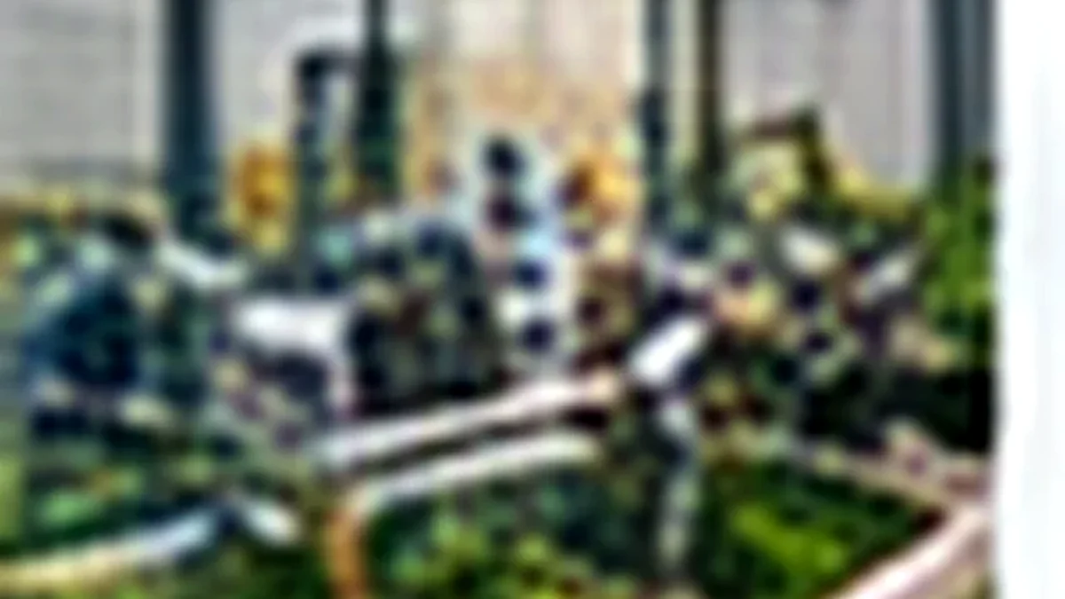 Maintenance WTP/WWTP/STP di Jakarta Barat